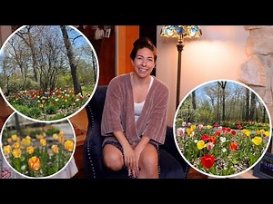 Colorblends Tulip and Daffodil Haul For The Landscape in Zone 5B! Time To Order Those Bulbs!