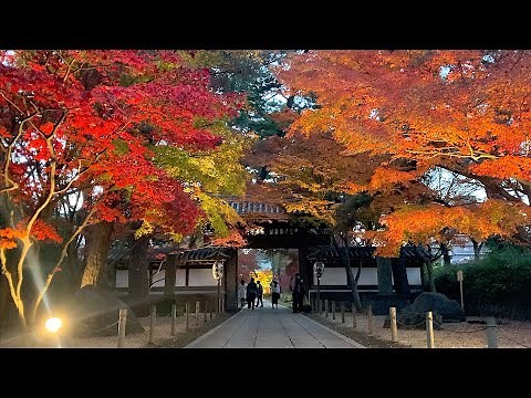 東漸寺の紅葉 〜千葉県松戸市小金〜 2021年12月12日