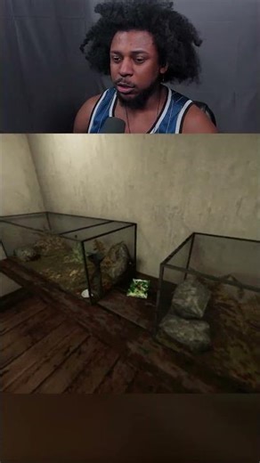 NEVER TAKE IN A SPIDER LEFT AT YOUR DOOR