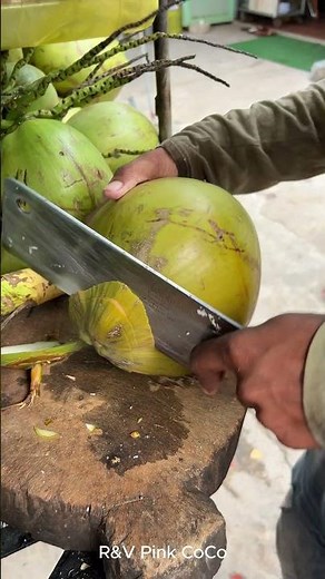 Amazing fresh coconut cutting skill! #shorts #fruit #streetfood #viral #coconut #explore