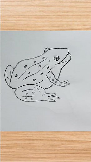 how to draw frog drawing easy step by step