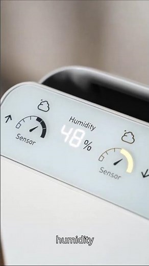 5 Best Dehumidifiers to Buy Now 2025