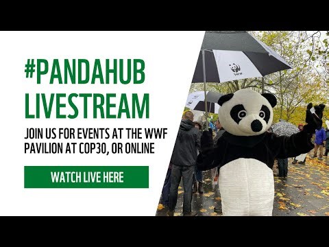 Measuring, Monitoring and Maintaining Durable Nature-Based Solutions