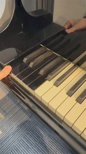 Piano with Extra Keys 有多过88琴键的钢琴 Bösendorfer Concert Grand 290 Imperial #piano #钢琴 #鋼琴 #Bösendorfer #bosendorfer #imperial | Andrew The Piano Junkie 小安要彈琴