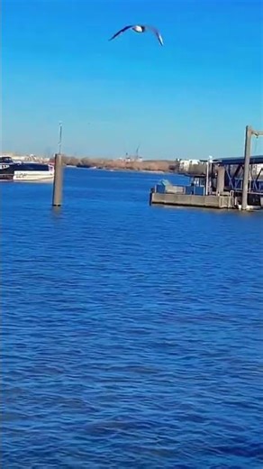 Uk 🇬🇧 2🙏🇳🇵