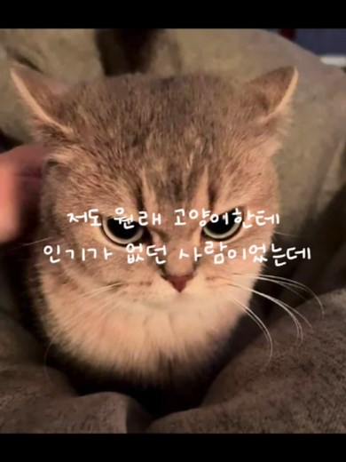 그rrr아옹 하면 고양이가 와요 — 귀여운 고양이 부르는 소리