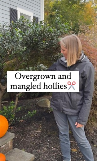 45K views · 245 reactions | These things were very overgrown and they...