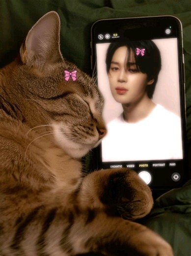 Perú siempre clave 🥹🇵🇪👏🏻 He visto proyectos de nuestras fanbases de Jimin en Perú, si pueden, donen dinerito para conseguir mas proyectos amigos ✨️ #jimin #ᴘᴀʀᴋᴊɪᴍɪɴ #pjm #btsjimin #bts