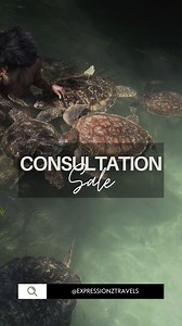 7.3K views · 4 comments | Our Top destinations for Birthdays are: USE CODE: Candles50 Punta Cana Montego Bay Panama Havana Bali Miami Las Vegas Comment Link for the best experiment and stress free planning! #travelwithexpressionz #birthdayvacation #birthday | Expressionz Travels | Facebook