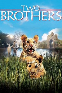 Stream Two Brothers (2004): Find it on Netflix, Prime Video, Hulu & more