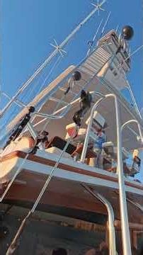 This Sailfishing Trip Changed These Veterans Lives🎣 #sportfishing #floridafishing #veterans