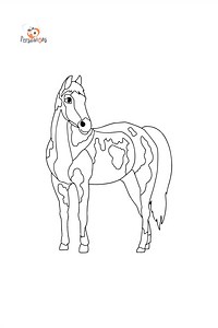 American riding horse сoloring page ♥ Online and Print for Free!