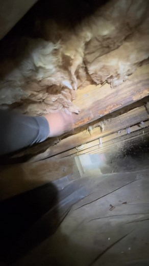 This is why we always say: get an inspection!🤧 #crawlspace #basement #homeinspection #kentuckyrealestate | H2H Inspectors - Lexington KY Home Inspections