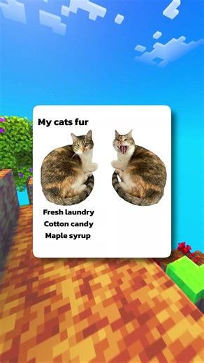 My cat's two sides are hilarious! 😹