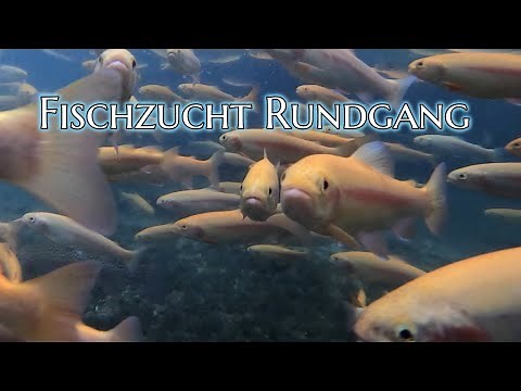 Fischzucht Rundgang