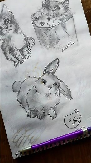 Satisfying Realistic Rabbit Drawing 🐰 | Pencil Sketch Timelapse