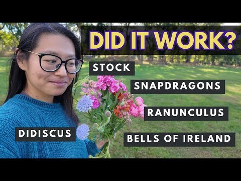 5 Spring Flowers I Tried Growing in Fall