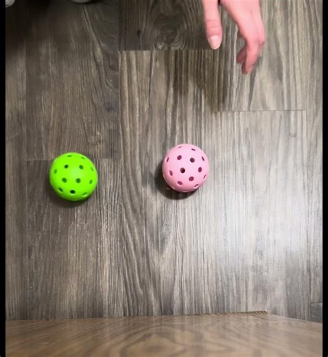 Phenomenon-Based Task Demonstrations (4th Grade Physical Science)