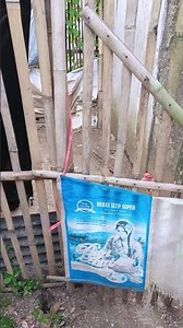 kata-kata motivasi, kata-kata bijak, kata-kata mutiara.