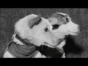 Almanac: Soviet space dogs