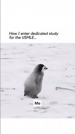 USMLE dedicated study