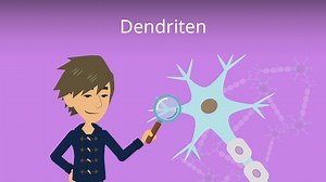 Dendriten • Funktion & Aufbau