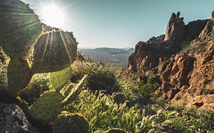 About Desert Ridge - Top Neighborhood in Phoenix, AZ