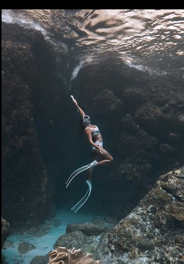 Capture Stunning Underwater Adventures with Telesin Grip