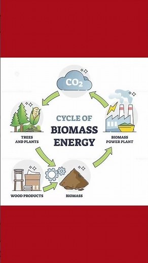 Cycle of Biomass Energy