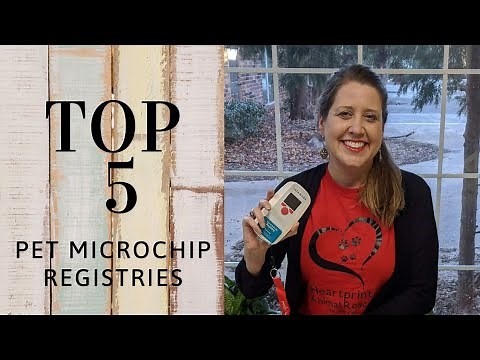 TOP 5 Pet Microchip Registries