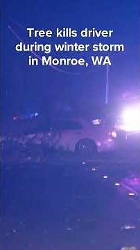 Driver killed after tree falls on car in Monroe