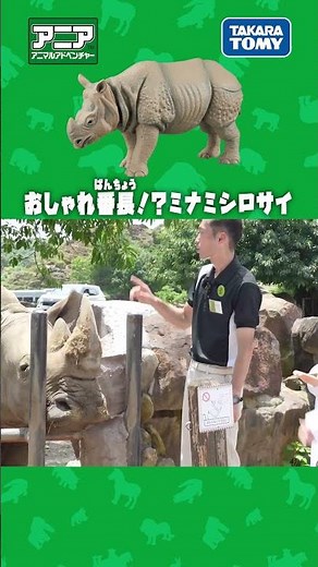 [Ania Research Institute] The fashionable leader!? Southern white rhinoceros #Ania #TakaraTomy #s...