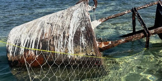 how to survive anything