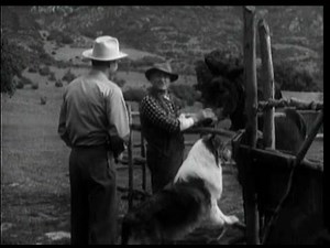 Lassie - Episode #383 - "Long Ears" - Season 11, Ep. 31 - 4/28/1965