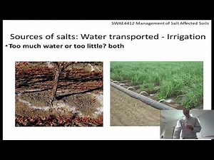 SWAE4412 Origin and Classification of saline soils