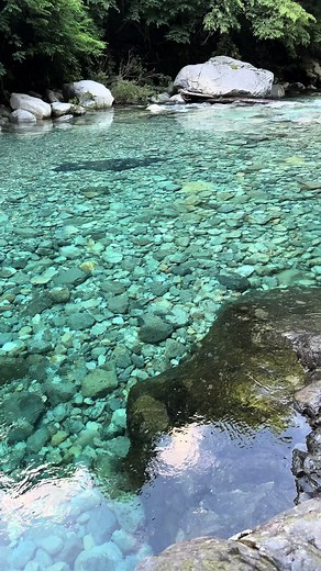 この透明感やばすぎ！！ ずっーと感動してた🥹 めちゃくちゃ心浄化される😌 自然最高🤟 #長野#大桑村#阿寺渓谷#自然#自然巡り