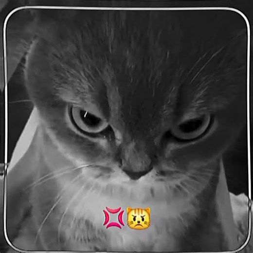 ‪@LARIS_7_1JS‬ طمنينيي عنكك لوسي #jennie #عالم_الفيك #bts #jk #blackpink #V#jimin #jungkook