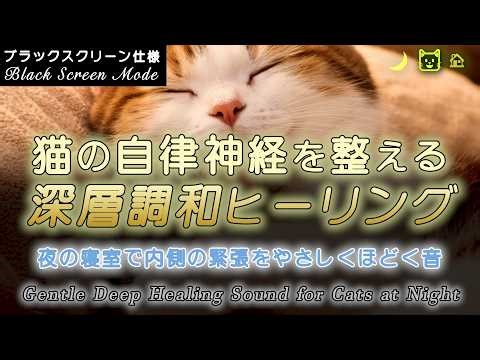 【Deep Layer Harmony for Cats 12 Hours | Black Screen】Calm Night Sound | Cat Sleep Music