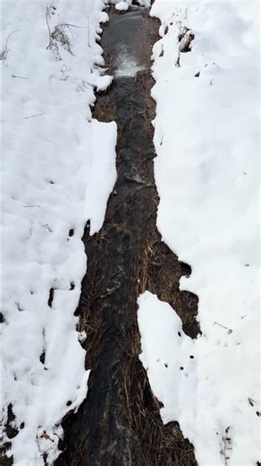 心地の良い渓流の音 #田舎 ##自然 #渓流