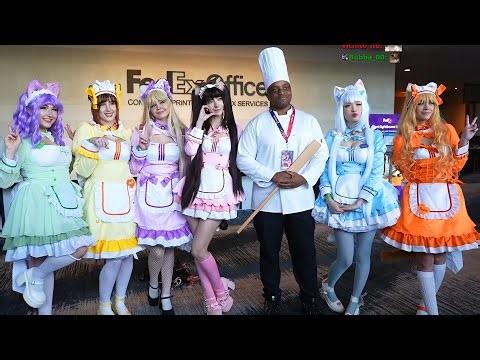 Emiru @ IKKiCON | BIG CAT GIRL COSPLAY GROUP ✨️🩷 w/ LACARI, JULIAKINS, MORGPIE and MORE ✨️🩷