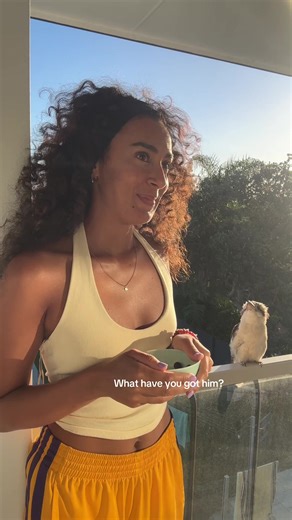 Kookaburra Bird Moments: Joy and Spirituality in Australia