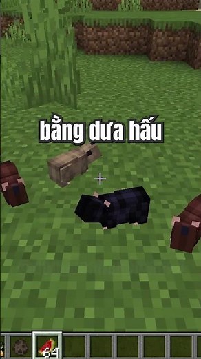 Mod Minecraft hay (phần 96) - Mod chuột hamster cho Minecraft #minecraft #shorts