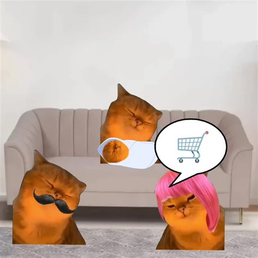 Baby yapapa😍 #yapapa #fy #foruyou #catlover #cat | cat