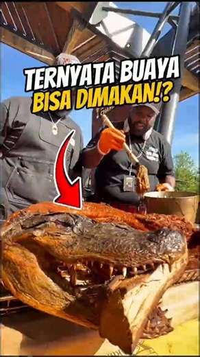 Ternyata Begini Rasa Daging Buaya yang Viral!