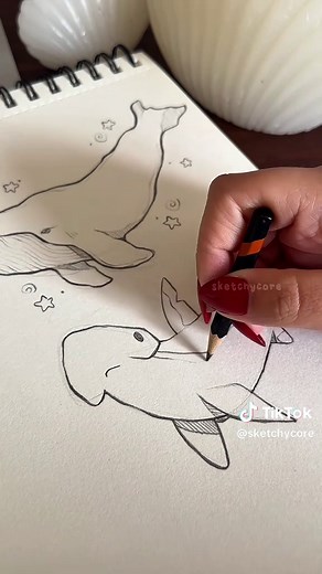 Shark Drawing Tutorial: Step-by-Step Guide