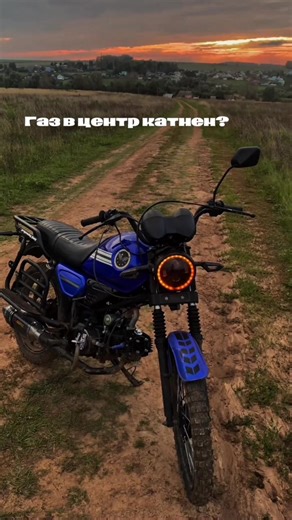 Exploring Colt Recommendations and Insights