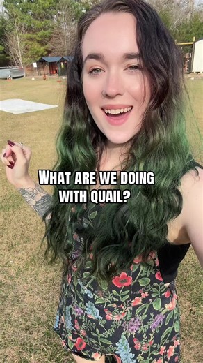 A lot of you are curious what I plan to do with the quail! And a few of you have been asking if I ever decided what type of enclosure I wanted to go with.