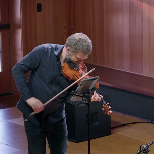 Haydn: String Quartet in F Minor, Hob. III:35, Op. 20 No. 5, III. - Brooklyn Rider [Excerpt] #shorts