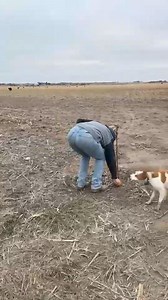 Farm girl | femalefarmerrancher