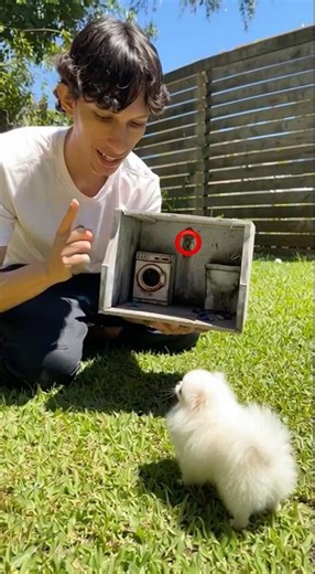 I gave my dog ​​a mini washing machine! (He washed his own clothes) 😱🧼👕